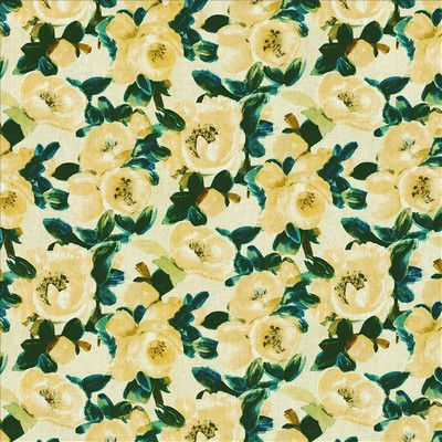 Kasmir MOODY SPRINGS    LEMON           